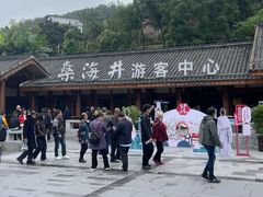 -燊海井