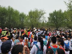 -北京鹫峰国家森林公园