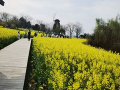 -东湖落雁景区