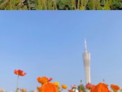 -海心沙亚运公园