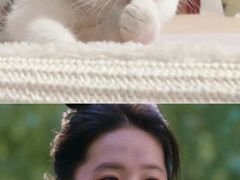 -TSK齿科德申会口腔门诊·联洋诊所