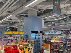 -TOYSRUS玩具反斗城(合肥华润万象城店)