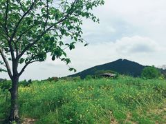 -有田陶瓷公园