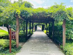 -白马涧龙池景区