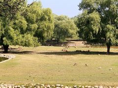 -北京麋鹿生态实验中心