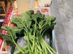 -成老灶火锅鸡(平山店)