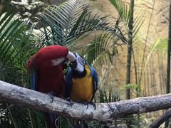 -杭州开元森泊度假乐园