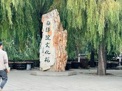 -白洋淀景区