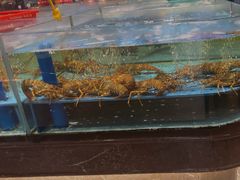 -阿伟海鲜楼·福建菜(延寿店)