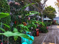 -三亚红色娘子军演艺公园景区