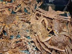 -龙宴海鲜城(经中路店)