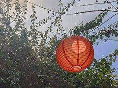 -古今茶语·峨眉山有机茶体验馆