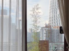 -小茶闲舍·观景商务茶馆(广州塔店)