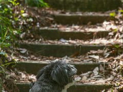 -青龙山国家森林公园