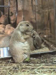 -Zoolung Zoolung动物主题公园(海信广场店)