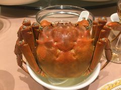 -王宝和酒家(黄浦店)