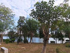 -飞来湖湿地公园