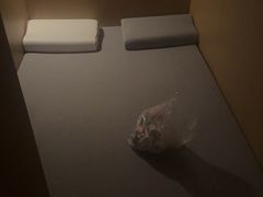 -九号温泉生活馆