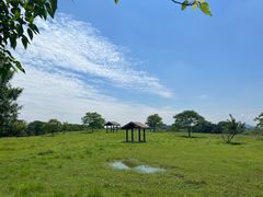 -良渚古城遗址公园