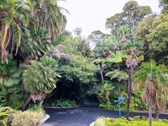 -墨尔本皇家植物园
