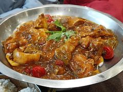 -刘胖子家常菜·蹄花焖藕(中南店)