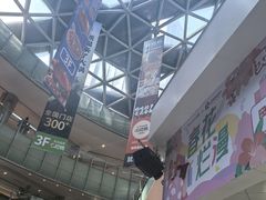 -鹏欣水游城