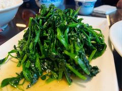 豌豆苗-代木儿回锅肉