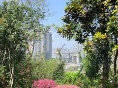 -阅江楼风景区