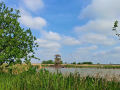 -盐城丹顶鹤湿地生态旅游区