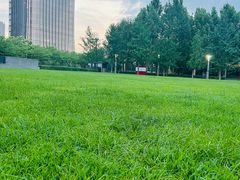 -大望京公园