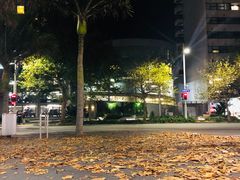 -Xi'An Food Bar 西安饭庄