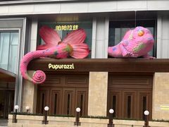 -帕帕拉兹宠物(亚洲旗舰店)