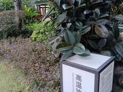 -海兰云天度假区温泉