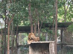 -清迈夜间动物园