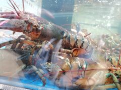 -盒马鲜生(皇庭广场店)