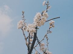 -樱桃山旅游景区