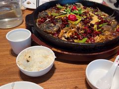 -老板恋上鱼(恒隆广场店)