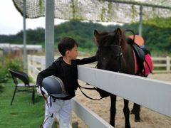 -名驭国际马术学院