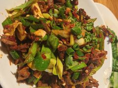 -柴窝堡22号辣子鸡·传承新疆菜