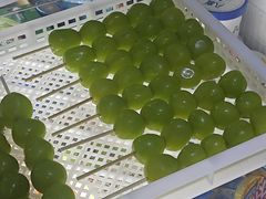 -栗子侠奶皮子糖葫芦(长宁店)