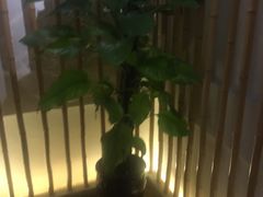 -周三的情书花园餐厅(江北店)