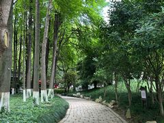 -瀛洲公园