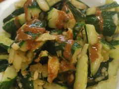 麻酱黄瓜-聚发号清真菜馆