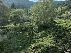 -芦芽山旅游度假区