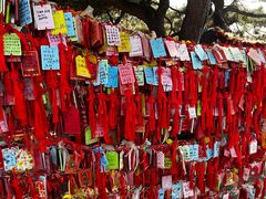 -香山公园