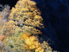 -叠溪松坪沟景区