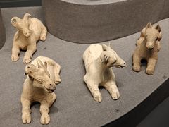 -广西壮族自治区博物馆