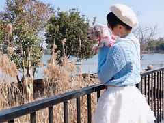 -美兰湖景区