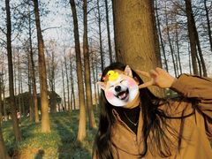 -顾村公园3号门停车场