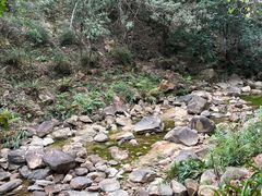 -广州白江湖森林公园